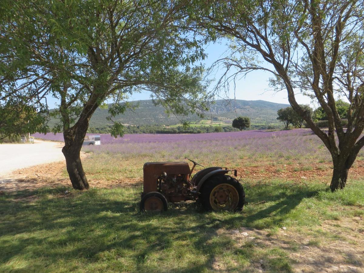 Couleurs Du Sud *